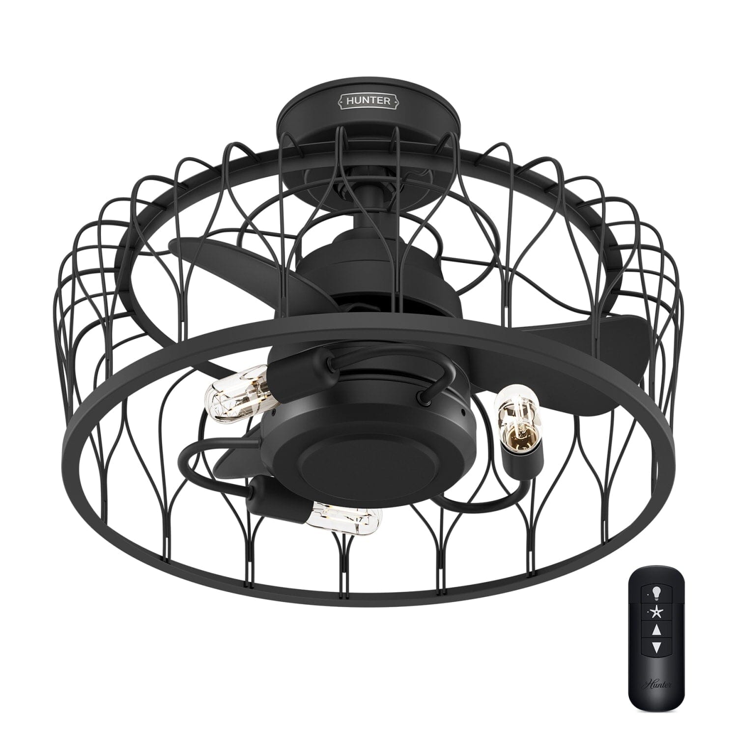 Hunter Rotonda 20-inch fandelier in matte black